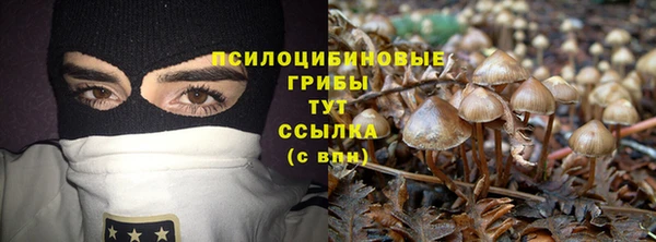 марки lsd Козельск