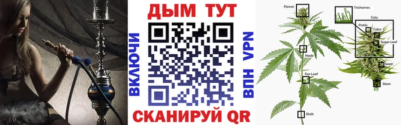 Бошки марихуана сатива Голицыно